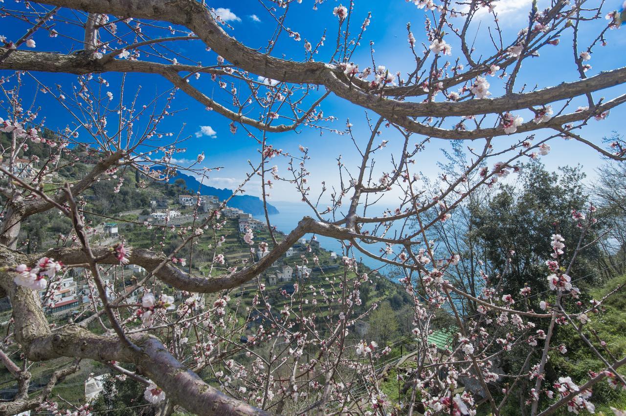 Appartement Casa Pina à Amalfi Extérieur photo