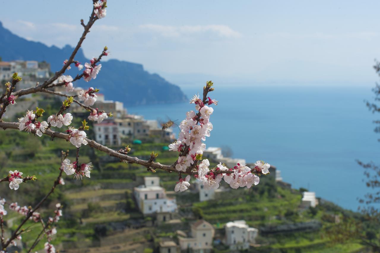 Appartement Casa Pina à Amalfi Extérieur photo